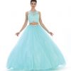 Gorgeous Prom Gown