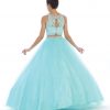 Gorgeous Prom Gown