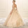 Gorgeous Quinceañera Gown