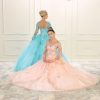 Gorgeous Quinceañera Gown
