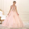 Gorgeous Quinceañera Dress