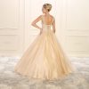 Beautiful Prom Gown