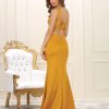Sexy Evening Dress