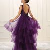 Gorgeous Prom Queen Dress