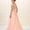 Short Sleeve Evening Gown