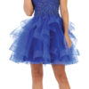 Short Prom Dress