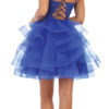 Short Prom Dress