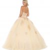 Quinceanera Ball Gown